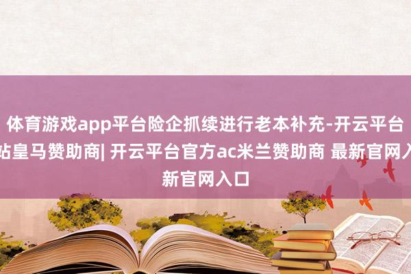 体育游戏app平台险企抓续进行老本补充-开云平台网站皇马赞助商| 开云平台官方ac米兰赞助商 最新官网入口