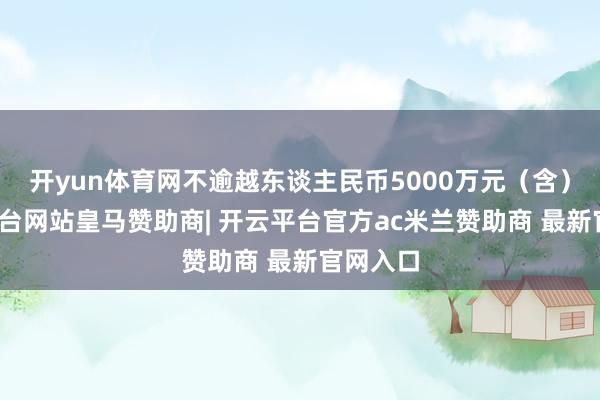开yun体育网不逾越东谈主民币5000万元（含）-开云平台网站皇马赞助商| 开云平台官方ac米兰赞助商 最新官网入口