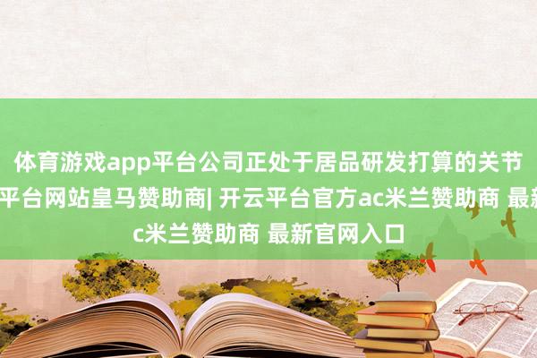 体育游戏app平台公司正处于居品研发打算的关节阶段-开云平台网站皇马赞助商| 开云平台官方ac米兰赞助商 最新官网入口