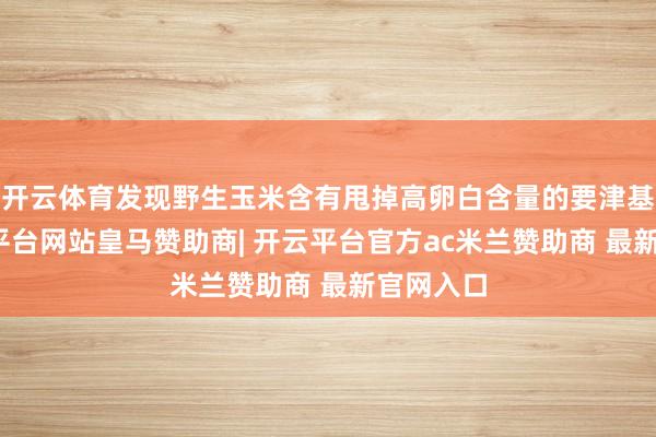 开云体育发现野生玉米含有甩掉高卵白含量的要津基因-开云平台网站皇马赞助商| 开云平台官方ac米兰赞助商 最新官网入口