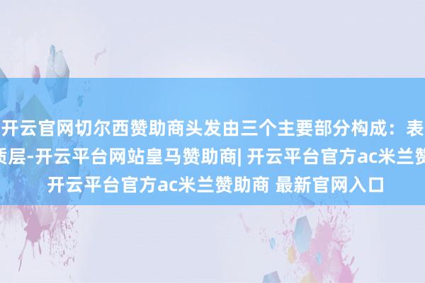 开云官网切尔西赞助商头发由三个主要部分构成：表皮层、皮质层和髓质层-开云平台网站皇马赞助商| 开云平台官方ac米兰赞助商 最新官网入口