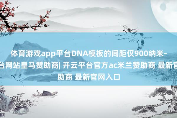 体育游戏app平台DNA模板的间距仅900纳米-开云平台网站皇马赞助商| 开云平台官方ac米兰赞助商 最新官网入口