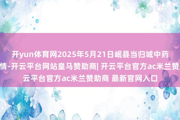 开yun体育网2025年5月21日岷县当归城中药材交往市集价钱行情-开云平台网站皇马赞助商| 开云平台官方ac米兰赞助商 最新官网入口