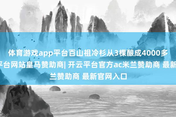 体育游戏app平台百山祖冷杉从3棵酿成4000多棵-开云平台网站皇马赞助商| 开云平台官方ac米兰赞助商 最新官网入口